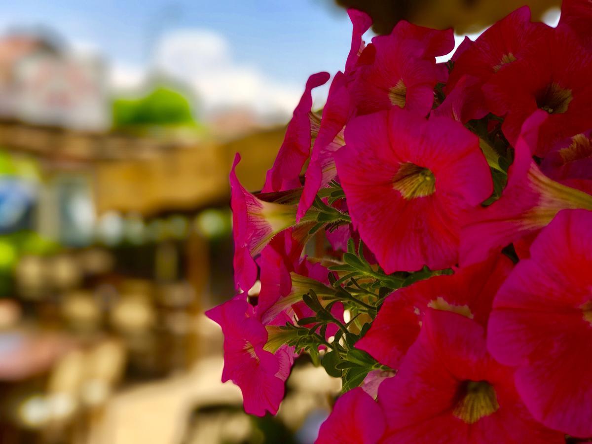 Nehir Apart Hotel Fethiye Dış mekan fotoğraf