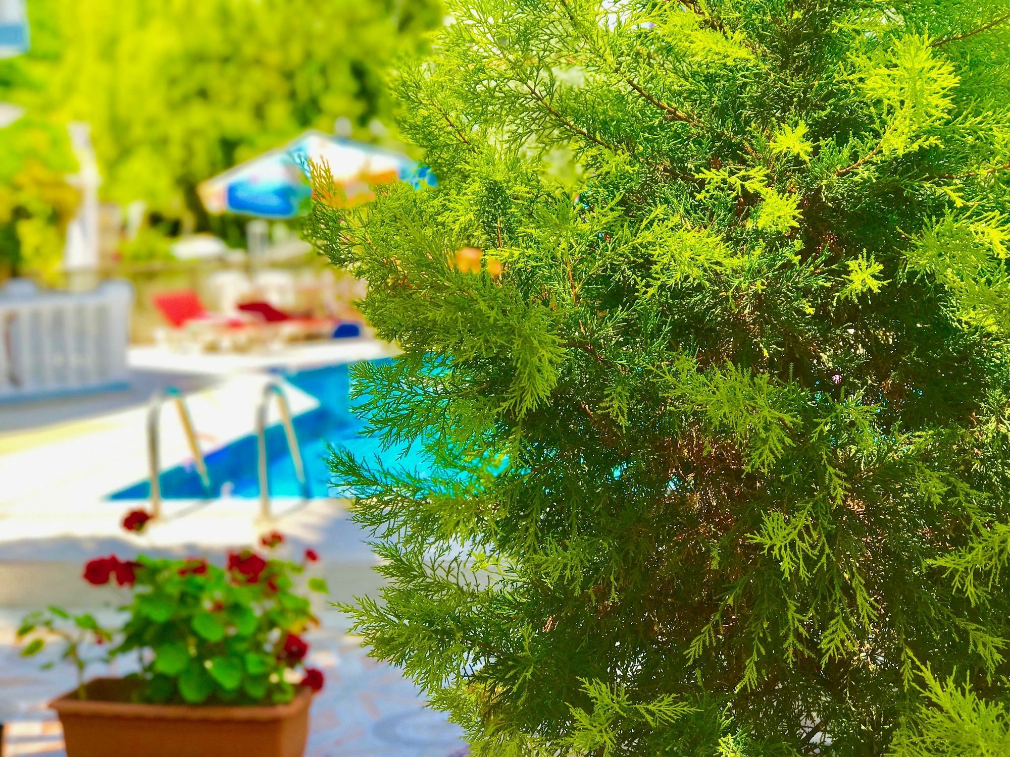 Nehir Apart Hotel Fethiye Dış mekan fotoğraf